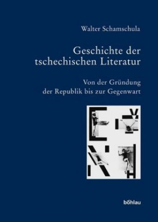 Knjiga Geschichte der tschechischen Literatur 3 Walter Schamschula