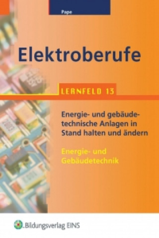 Książka Elektroberufe. Lernfeld 13 Wilken Pape