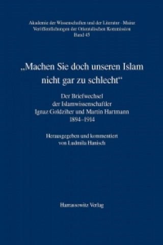 Buch "Machen Sie doch unseren Islam nicht gar zu schlecht" Ludmila Hanisch