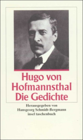 Kniha Die Gedichte Hansgeorg Schmidt-Bergmann
