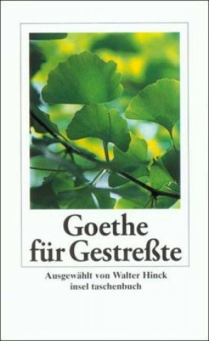 Könyv Goethe für Gestreßte Walter Hinck