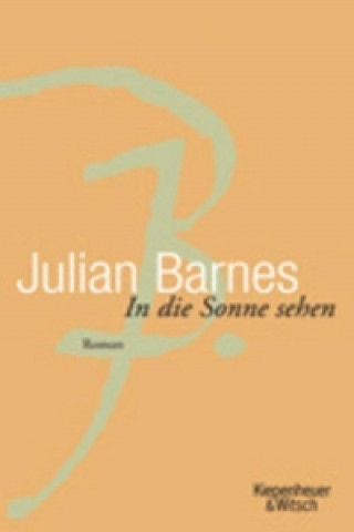 Kniha In die Sonne sehen Julian Barnes