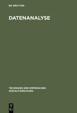 Knjiga Datenanalyse Oldenbourg