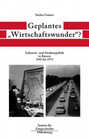 Könyv Geplantes Wirtschaftswunder? Stefan Grüner