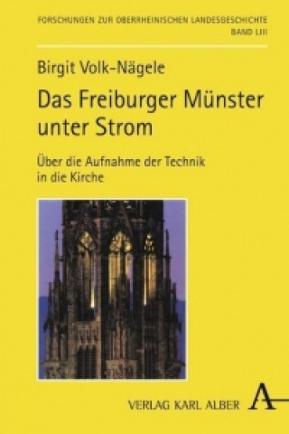 Kniha Das Freiburger Münster unter Strom Birgit Volk-Nägele
