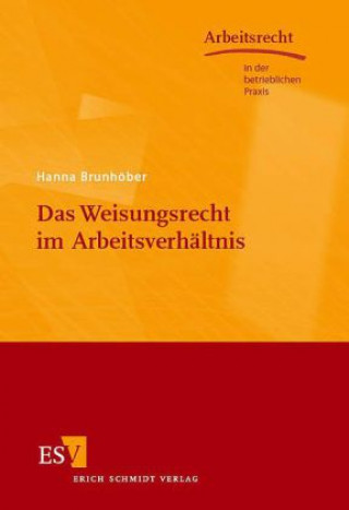 Kniha Das Weisungsrecht im Arbeitsverhältnis Hanna Brunhöber