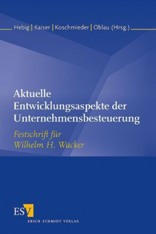 Kniha Aktuelle Entwicklungsaspekte der Unternehmensbesteuerung Michael Hebig