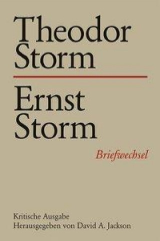 Könyv Theodor Storm - Ernst Storm David A. Jackson