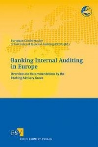 Kniha Banking Internal Auditing in Europe 