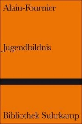 Kniha Jugendbildnis Alain-Fournier Ernst Schoen