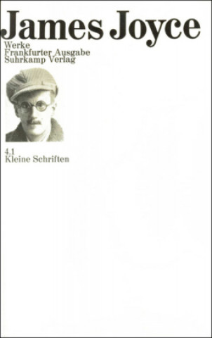 Książka Kleine Schriften James Joyce