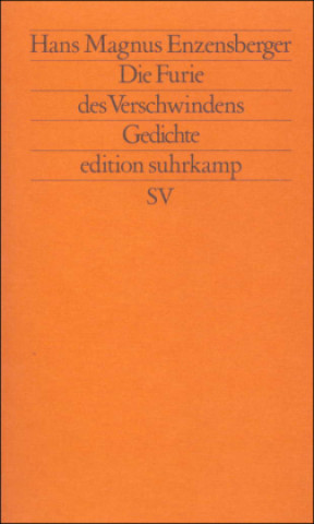 Kniha Die Furie des Verschwindens Hans Magnus Enzensberger