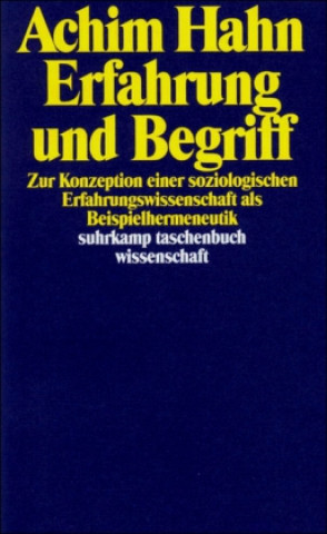 Buch Erfahrung und Begriff Achim Hahn