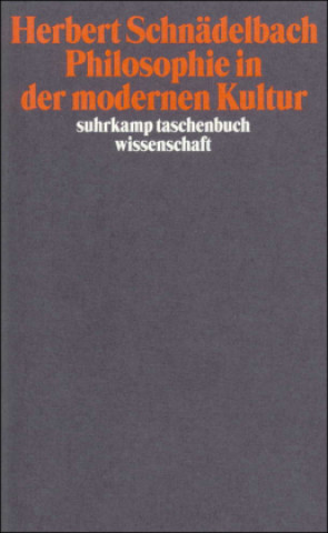 Buch Philosophie in der modernen Kultur Herbert Schnädelbach