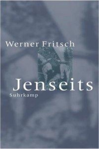 Kniha Jenseits Werner Fritsch