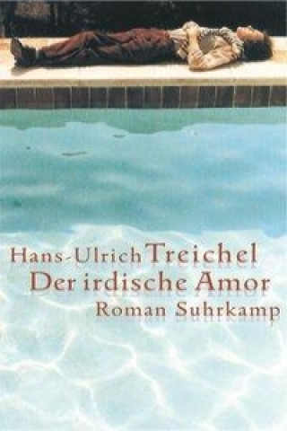 Kniha Der irdische Amor Hans-Ulrich Treichel