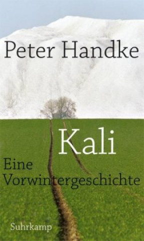 Kniha Kali Peter Handke