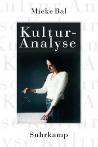 Book Kulturanalyse Joachim Schulte