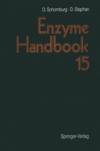 Kniha Enzyme Handbook Dietmar Schomburg