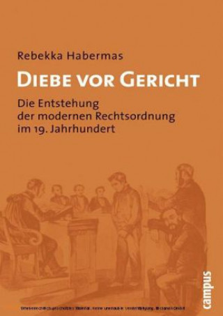 Boek Diebe vor Gericht Rebekka Habermas
