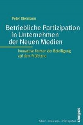Книга Betriebliche Partizipation in Unternehmen der Neuen Medien Peter Ittermann