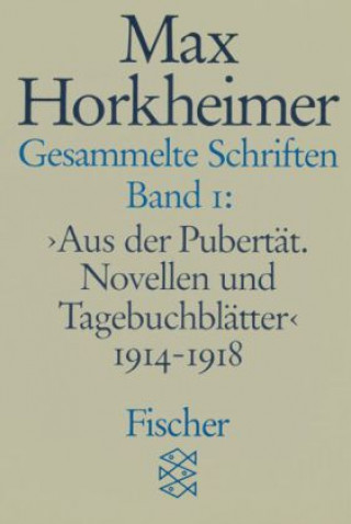 Kniha Gesammelte Schriften I Alfred Schmidt