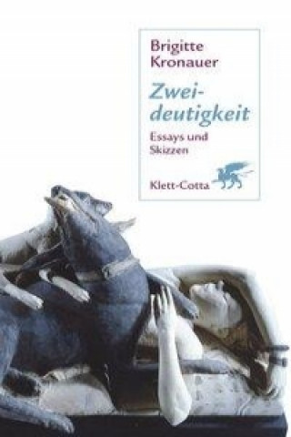 Kniha Zweideutigkeit Brigitte Kronauer