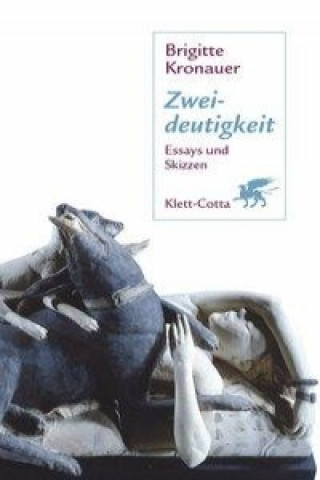 Carte Zweideutigkeit Brigitte Kronauer