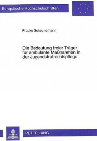 Kniha Die Bedeutung freier Traeger fuer ambulante Manahmen in der Jugendstrafrechtspflege Frauke Scheunemann