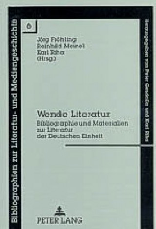 Kniha Wende-Literatur Jörg Fröhling
