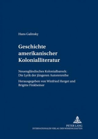 Könyv Geschichte amerikanischer Kolonialliteratur Hans Galinsky