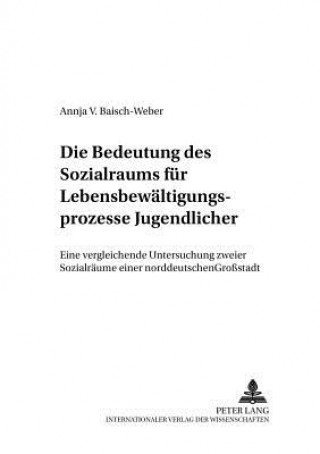 Buch Bedeutung Des Sozialraums Fuer Lebensbewaeltigungsprozesse Jugendlicher Annja V. Baisch-Weber