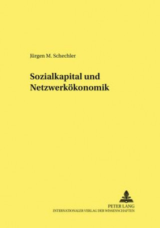 Kniha Sozialkapital Und Netzwerkoekonomik Jürgen M. Schechler