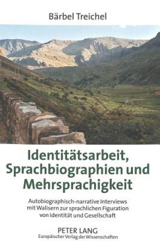 Libro Identitatsarbeit, Sprachbiographien und Mehrsprachigkeit; Autobiographisch-narrative Interviews mit Walisern zur sprachlichen Figuration von Identitat Bärbel Treichel