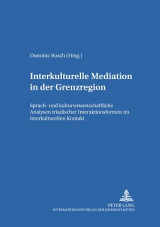 Book Interkulturelle Mediation in Der Grenzregion Dominic Busch