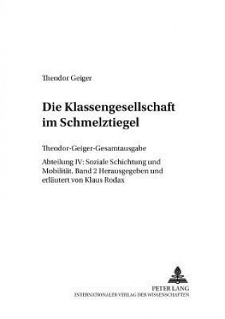Boek Die Klassengesellschaft Im Schmelztiegel Theodor Geiger