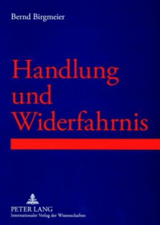 Książka Handlung Und Widerfahrnis Bernd Birgmeier