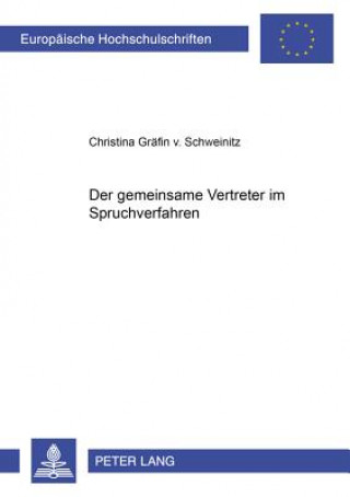 Kniha Gemeinsame Vertreter Im Spruchverfahren Christina Schweinitz