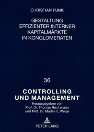 Kniha Gestaltung Effizienter Interner Kapitalmaerkte in Konglomeraten Christian Funk