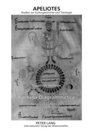 Könyv "fortuna Diagrammatica" Matthias Vollmer