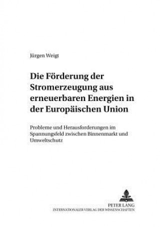 Könyv Die Foerderung der Stromerzeugung aus erneuerbaren Energien in der Europaeischen Union Jürgen Weigt