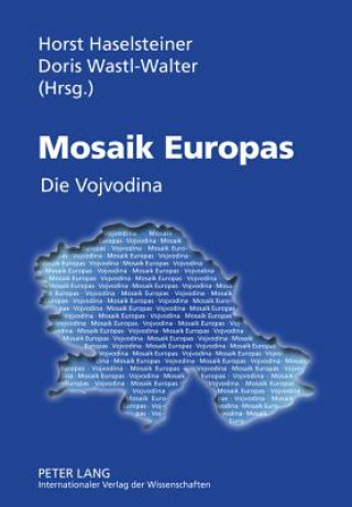 Kniha Mosaik Europas Horst Haselsteiner