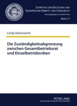 Carte Zustaendigkeitsabgrenzung Zwischen Gesamtbetriebsrat Und Einzelbetriebsraeten Cindy Hümmerich