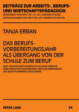 Book Berufsvorbereitungsjahr ALS Uebergang Von Der Schule Zum Beruf Tanja Erban