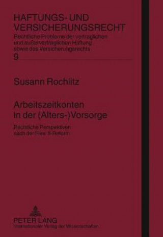 Carte Arbeitszeitkonten in Der (Alters-)Vorsorge Susann Rochlitz