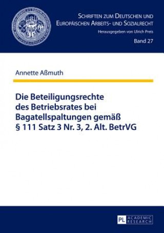 Könyv Die Beteiligungsrechte des Betriebsrates bei Bagatellspaltungen gemae  111 Satz 3 Nr. 3, 2. Alt. BetrVG Annette Aßmuth