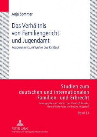 Kniha Verhaeltnis Von Familiengericht Und Jugendamt Anja Sommer