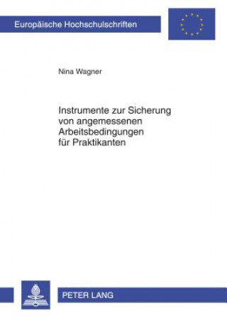 Kniha Instrumente zur Sicherung von angemessenen Arbeitsbedingungen fuer Praktikanten Nina Wagner