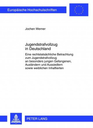 Kniha Jugendstrafvollzug in Deutschland Jochen Werner