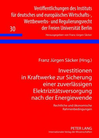 Kniha Investitionen in Kraftwerke Zur Sicherung Einer Zuverlaessigen Elektrizitaetsversorgung Nach Der Energiewende Franz Jürgen Säcker